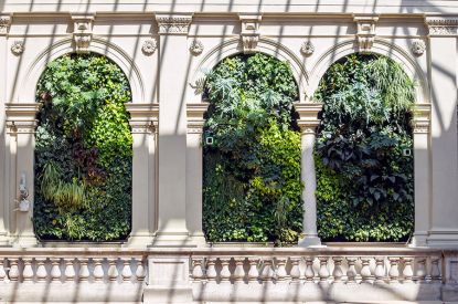 BCE Növényfal - Prímépítő - Budapest ?>